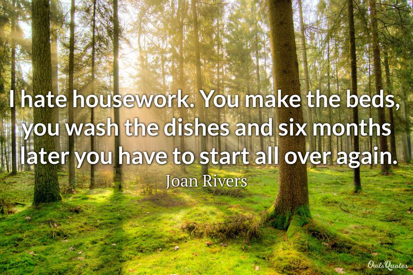 30 Great Cleaning Quotes 