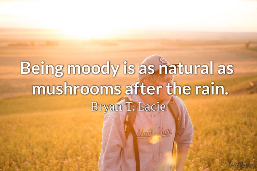 30 Moody Quotes and Sayings
