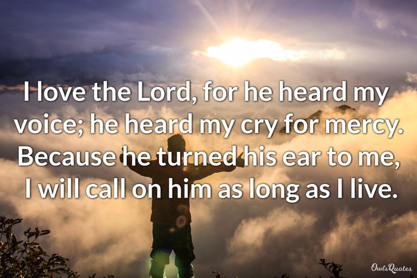 25 Beautiful Voice Quotes to Inspire You