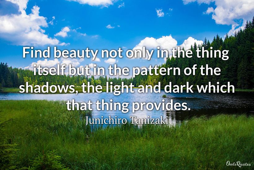 28 Light and Shadow Quotes