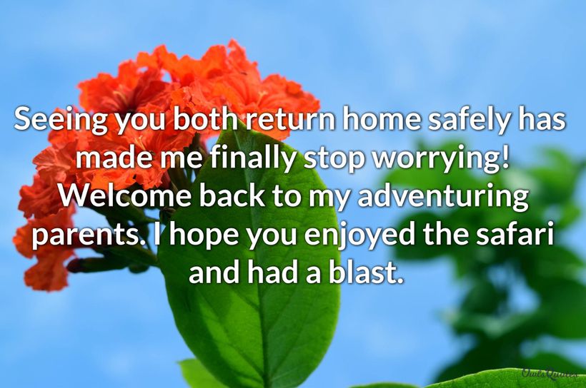 30 Back Home Quotes