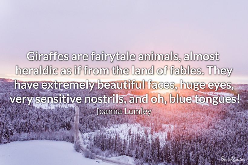 30 Giraffe Quotes and Sayings