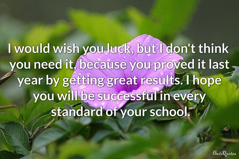 30-best-wishes-for-a-new-school-year-to-inspire-you